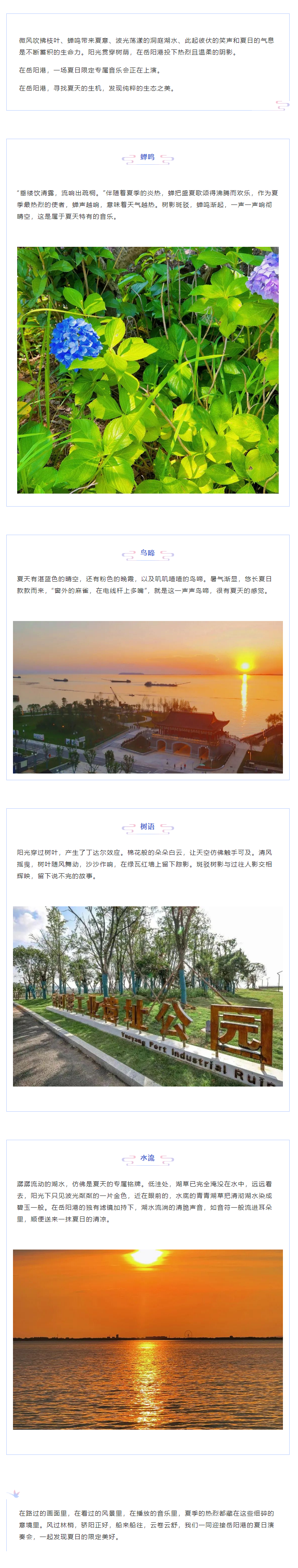 【夏日演奏會(huì)】在岳陽(yáng)港，聆聽夏天的聲音.png